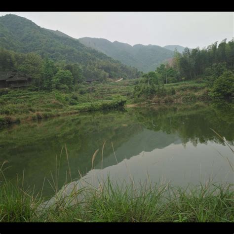 屋後有水池風水|【屋後有水池風水】屋後有水池風水大揭密，小心影響婚姻和運。